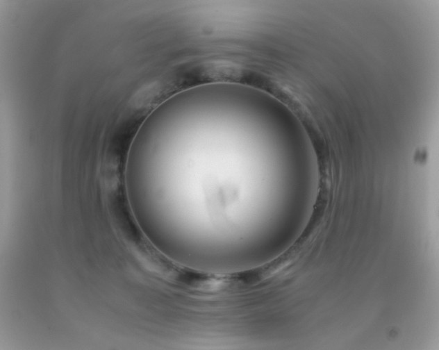 X0000092250323200709141153