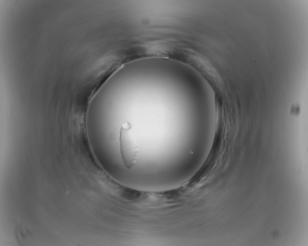 X0000092250329200709141153