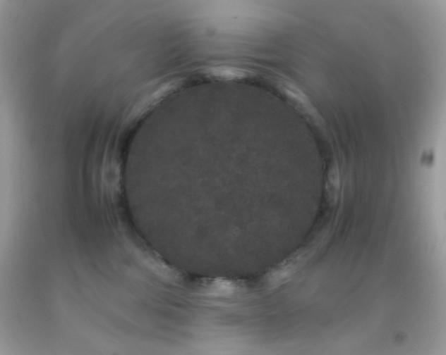 X0000092250330200709141153