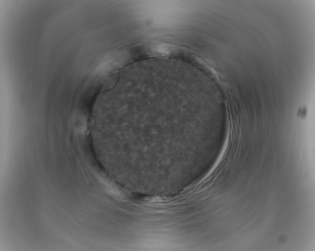 X0000092250331200709141153