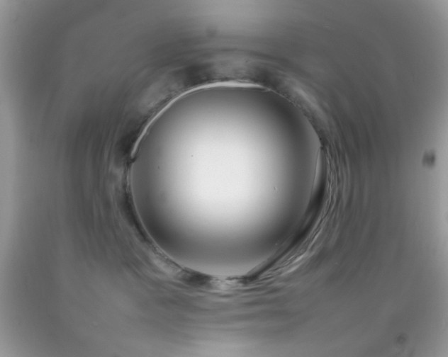 X0000092250333200709141153