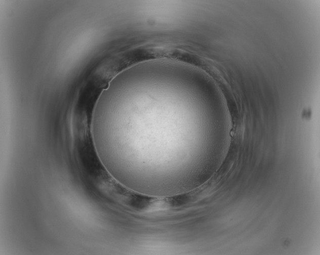 X0000092250335200709141153