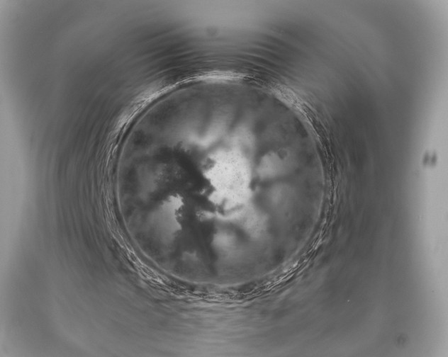X0000092250337200709141152