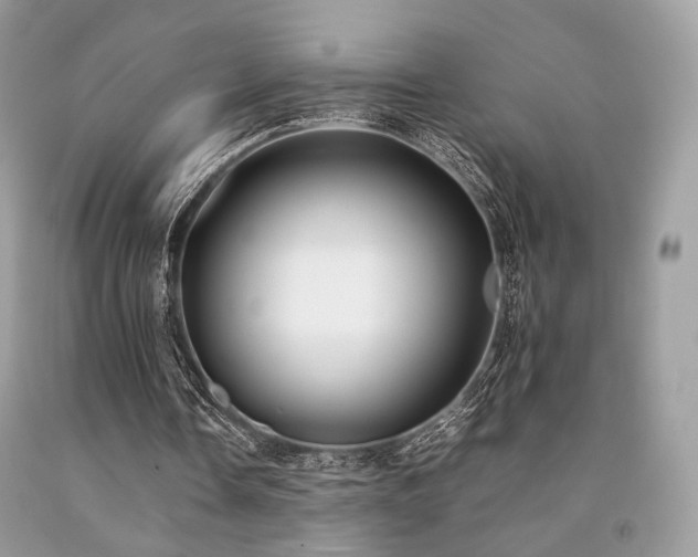 X0000092250338200709141152