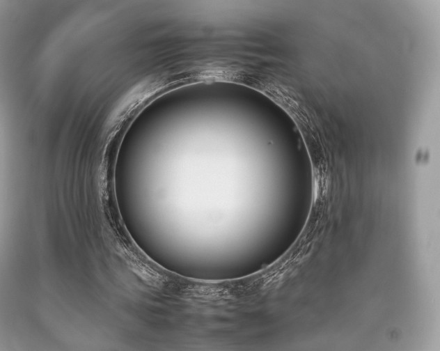 X0000092250339200709141152