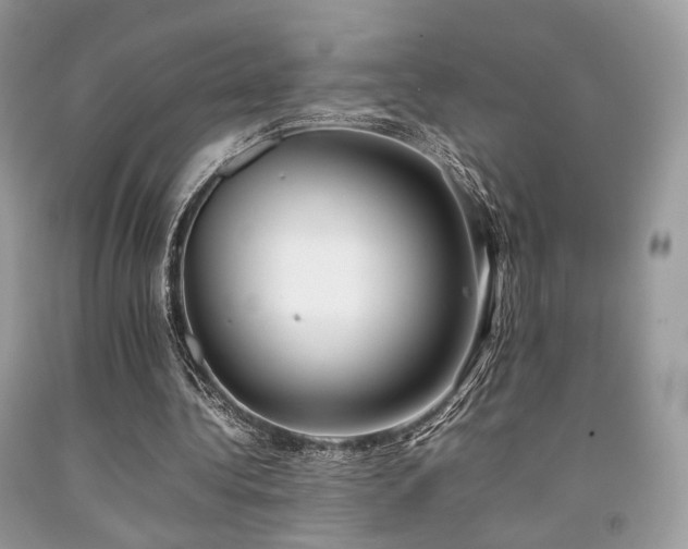 X0000092250340200709141152