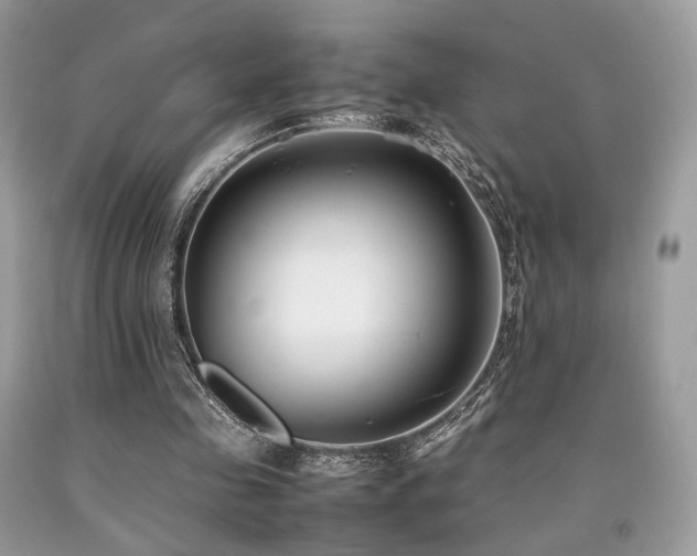 X0000092250341200709141152