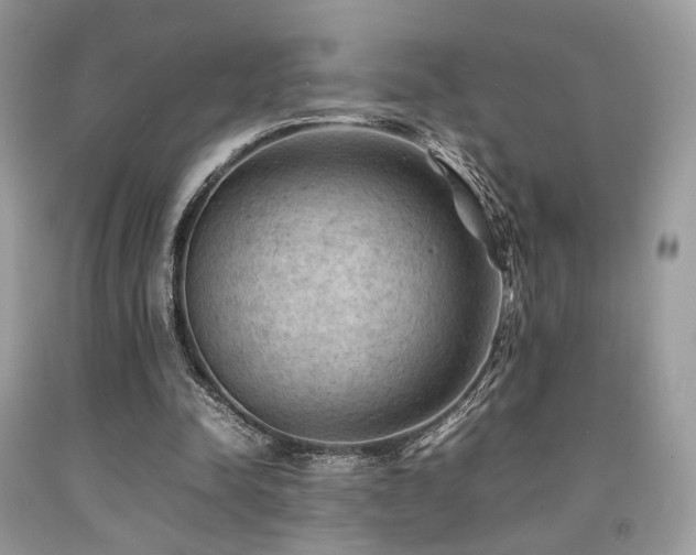 X0000092250342200709141152