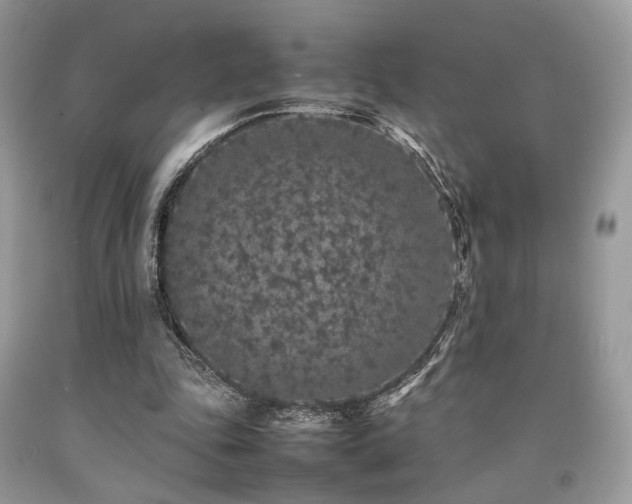X0000092250343200709141152