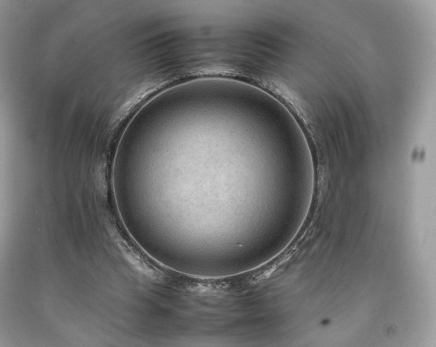 X0000092250345200709141152