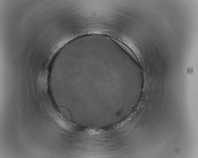 X0000092250346200709141152