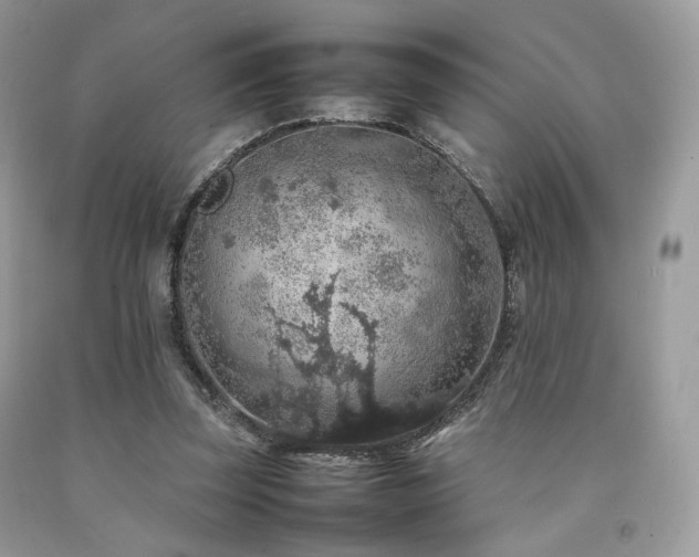 X0000092250347200709141152