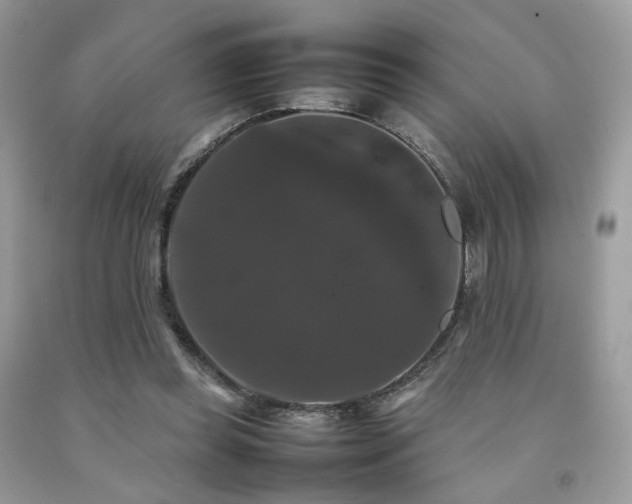 X0000092250349200709141153