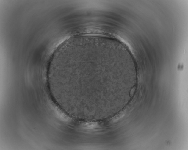 X0000092250353200709141153