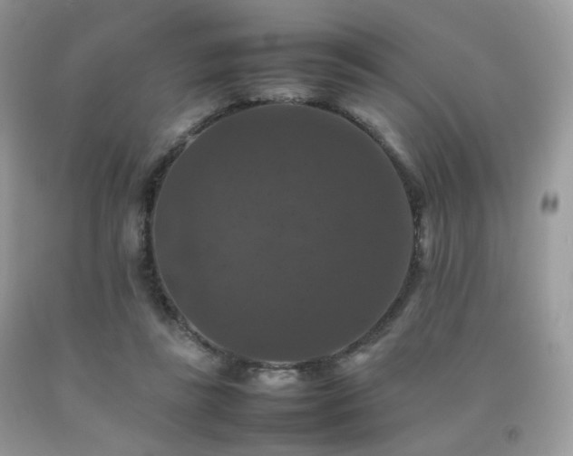 X0000092250355200709141153