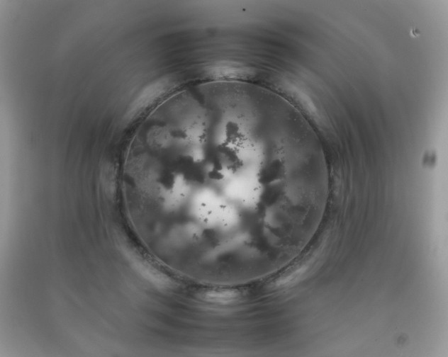 X0000092250357200709141153