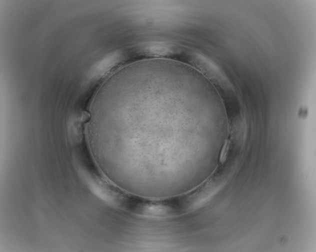 X0000092250360200709141153