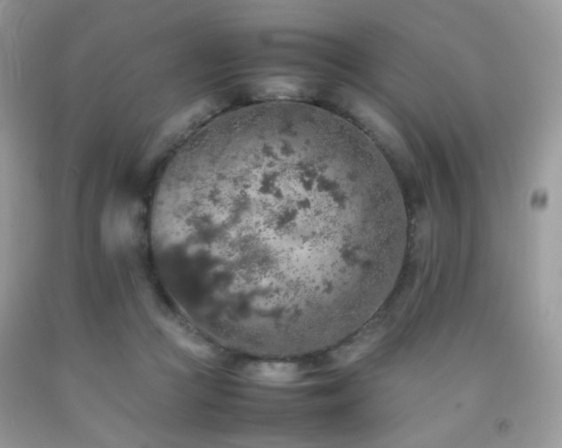 X0000092250361200709141153