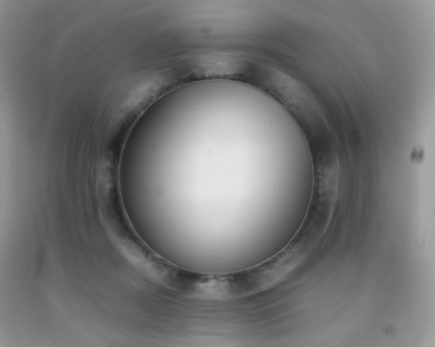 X0000092250362200709141153