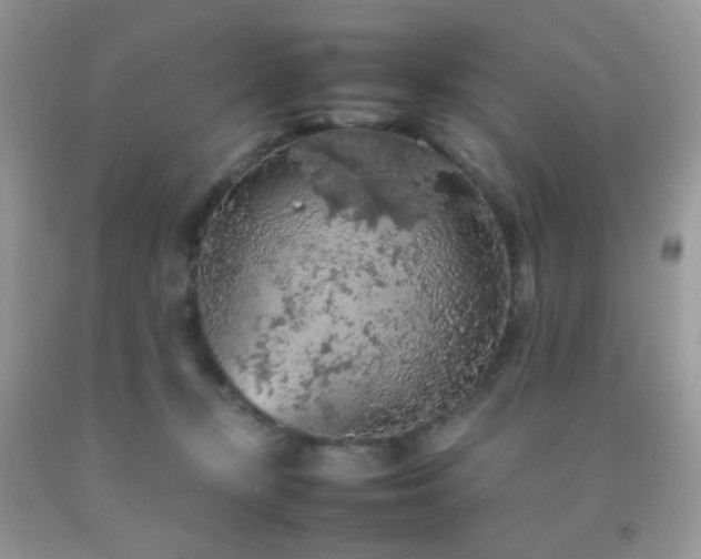 X0000092250367200709141153