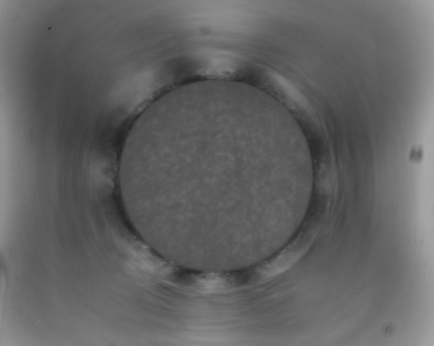 X0000092250370200709141153