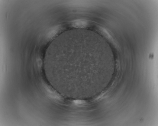 X0000092250371200709141153