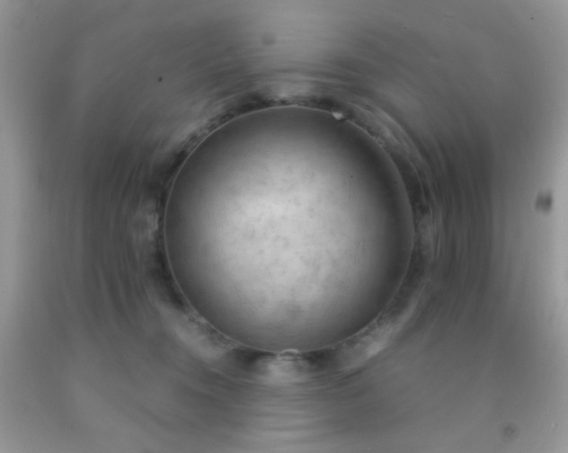 X0000092250372200709141153