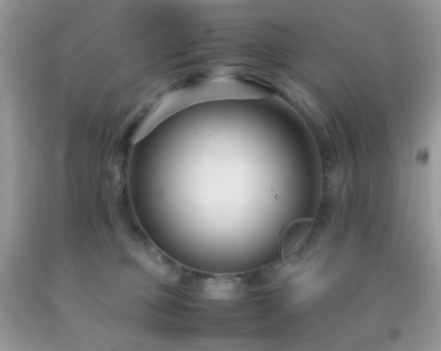 X0000092250373200709141153