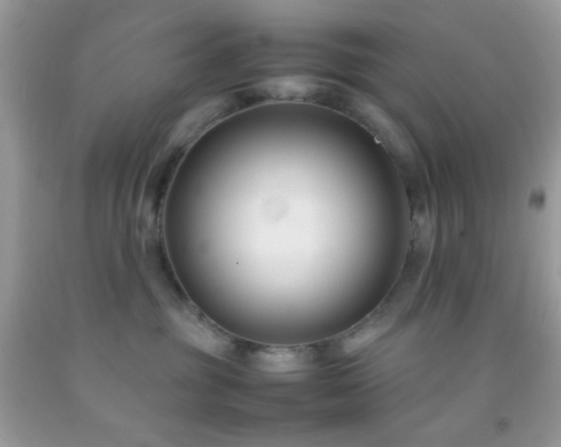 X0000092250381200709141153