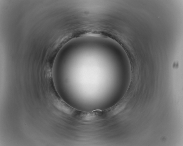 X0000092250384200709141153