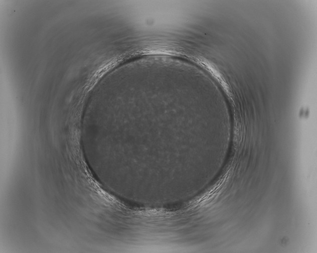 X0000092250385200709141152