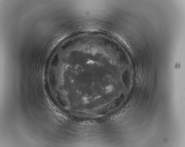 X0000092250386200709141152