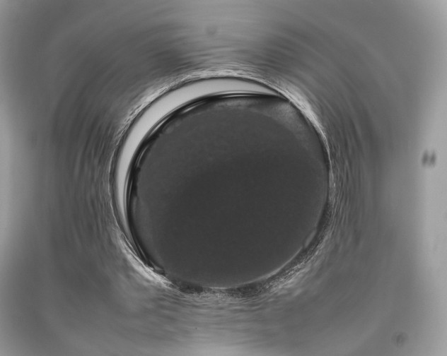 X0000092250389200709141152