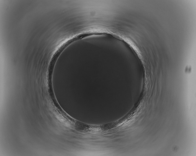 X0000092250391200709141152