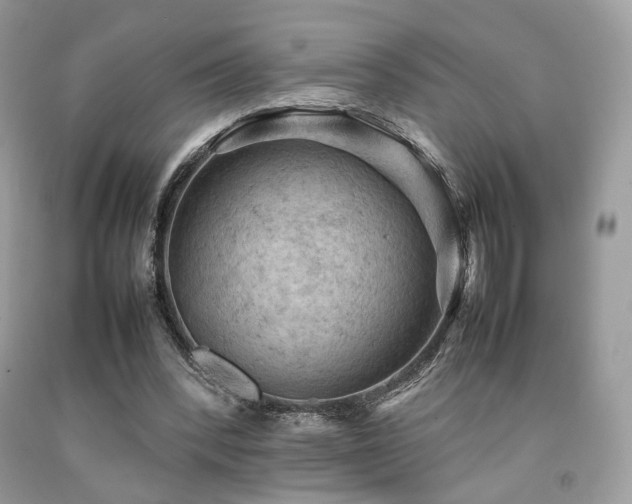 X0000092250392200709141152