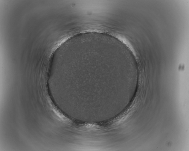X0000092250393200709141152