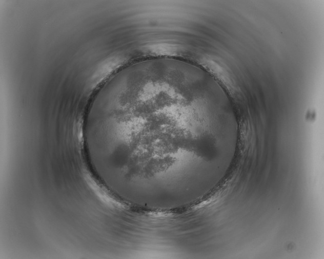 X0000092250398200709141152