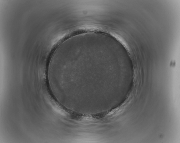 X0000092250399200709141152