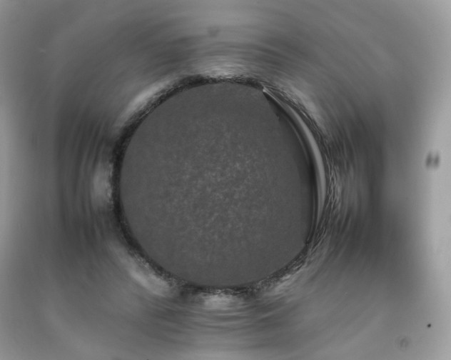 X0000092250400200709141152