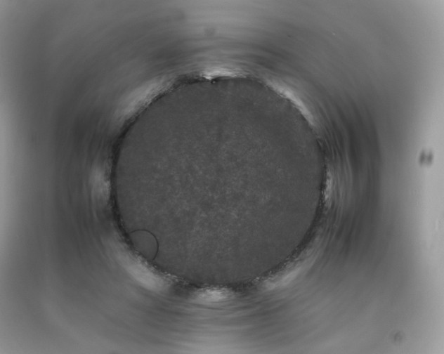 X0000092250402200709141152