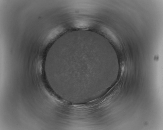 X0000092250404200709141152