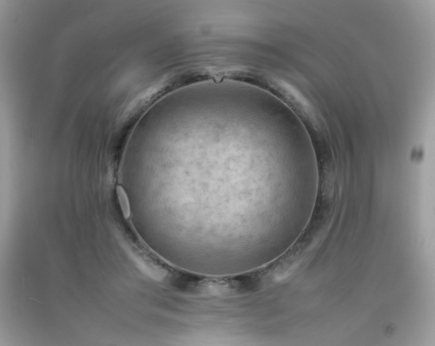 X0000092250405200709141152