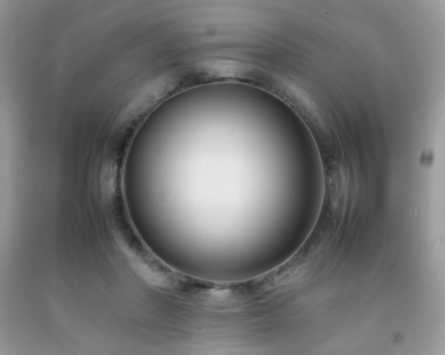 X0000092250406200709141152
