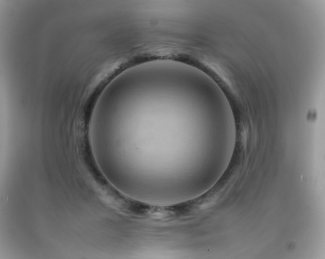 X0000092250407200709141152