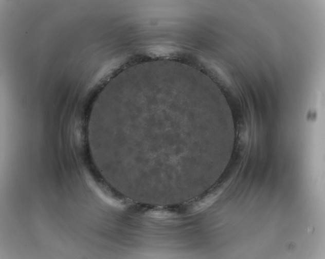 X0000092250408200709141152