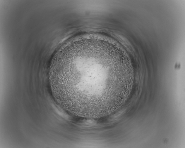 X0000092250409200709141152