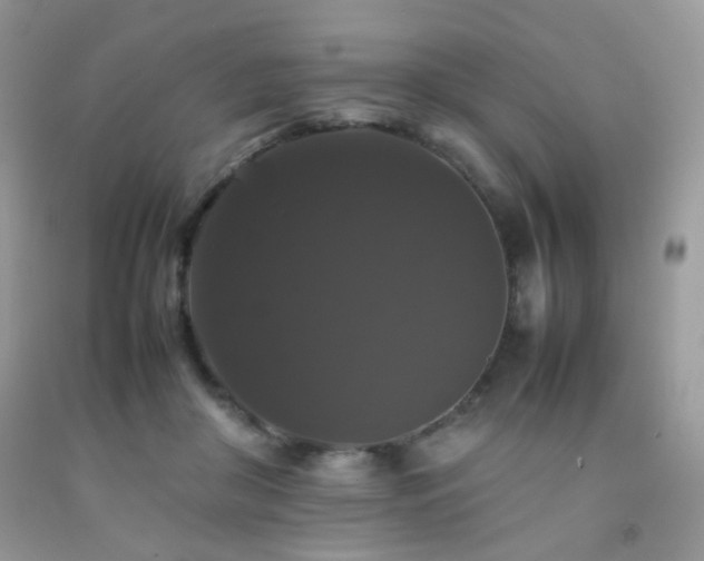 X0000092250410200709141152