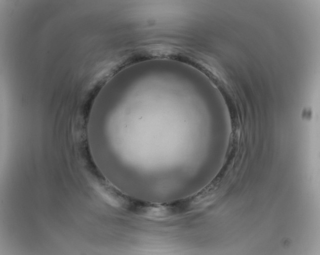 X0000092250411200709141152