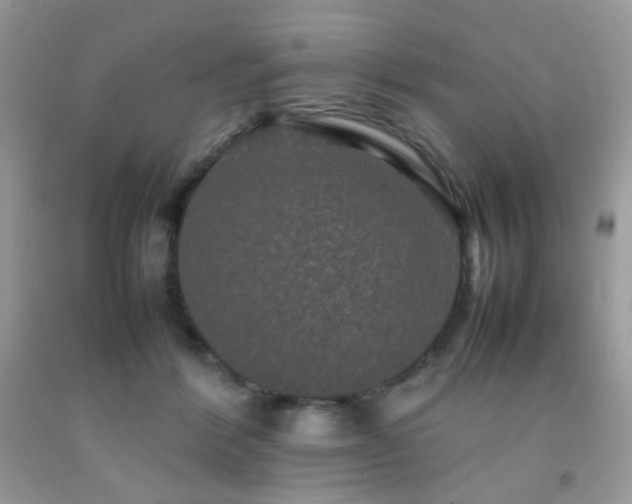 X0000092250412200709141152