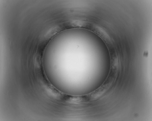 X0000092250414200709141152